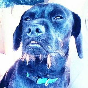 Meet your Posher, Tonya